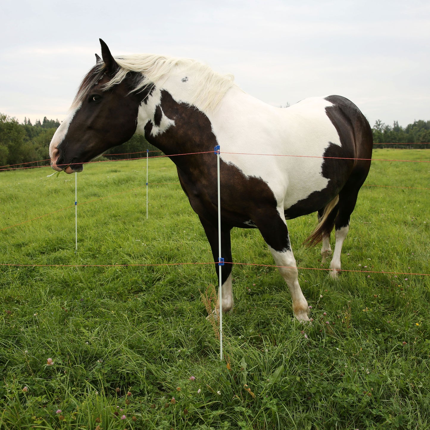 Fiberglaspfähle mit Fußstütze und Halter