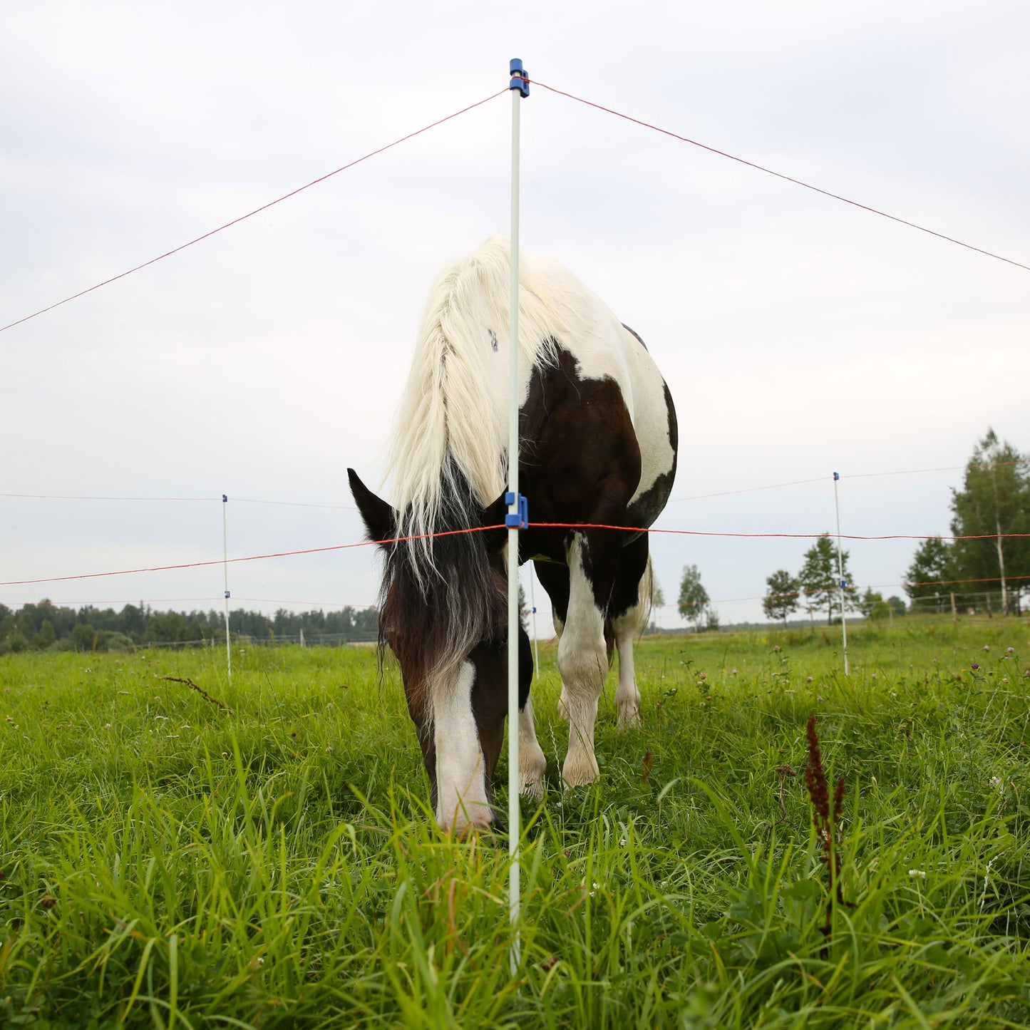 Fiberglaspfähle mit Fußstütze und Halter