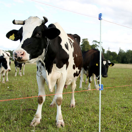 Gewellte Fiberglaspfähle für Elektroumzäunung